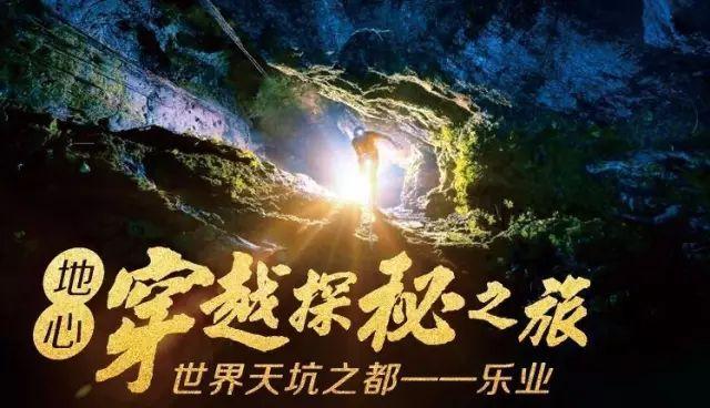 有趣的动物拼图